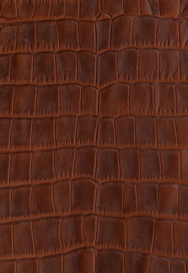price for Cover for Samsung in brown color with crocodile embossing