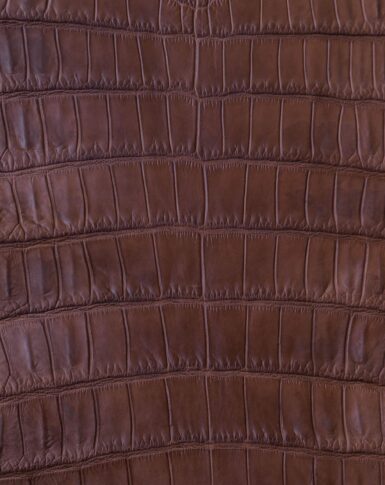 price for Cover for Samsung in brown color made of crocodile skin