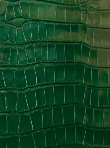 ціна на Чохол для Samsung у зеленому кольорі зі шкіри крокодила