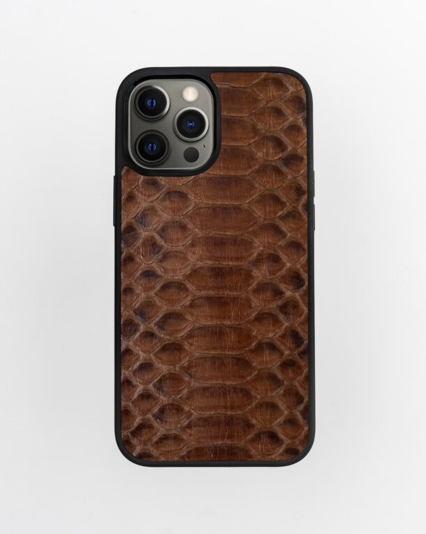 Case made of brown python skin with wide stripes for iPhone 12 Pro Max