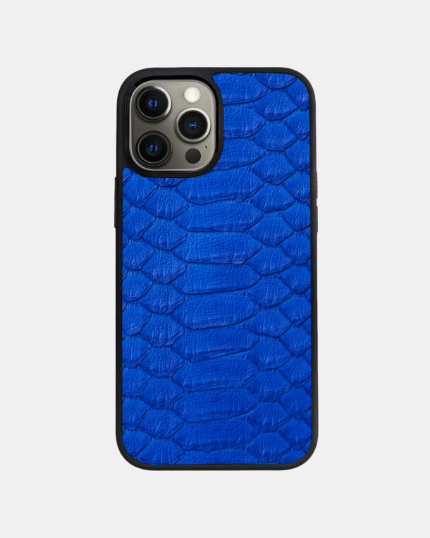 Case made of blue python skin with wide stripes for iPhone 12 Pro Max