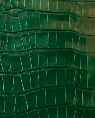 ціна на Чохол із зеленої шкіри крокодила для iPhone 8