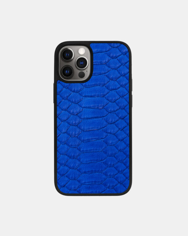Case made of blue python skin with wide stripes for iPhone 12 Pro