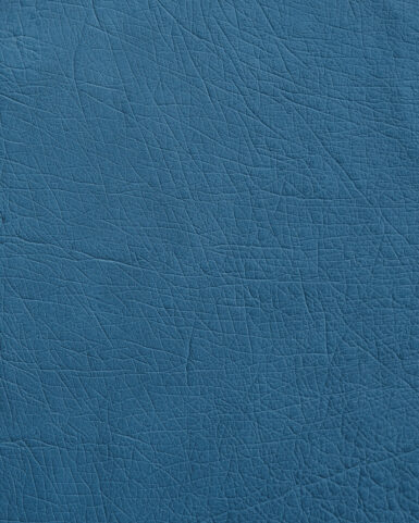 Чохол із блакитної шкіри страуса без фолікул для iPhone se2020