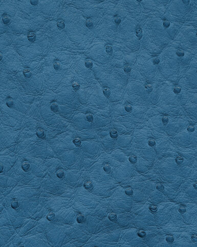 Чохол із блакитної шкіри страуса з фолікулами для iPhone X