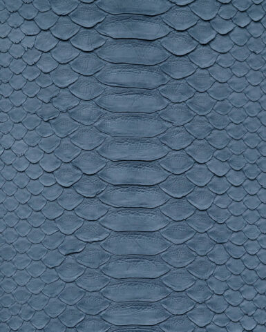 Чохол із сіро-синьої шкіри пітона з широкими лусочками для iPhone 8+
