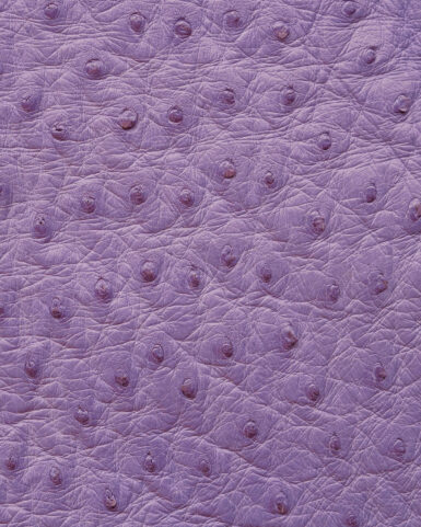 Чохол із фіолетової шкіри страуса з фолікулами для iPhone 7