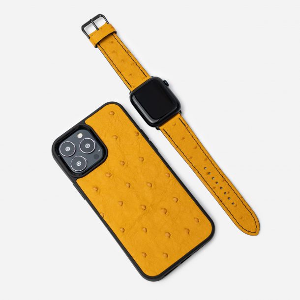 Set in orange ostrich leather, iPhone case and Apple Watch band