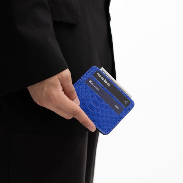 Card holder made of blue python skin with wide scales in Kyiv