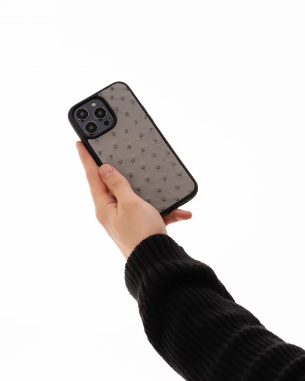 ціна на Чохол із сірої шкіри страуса з фолікулами для iPhone 13 Pro Max